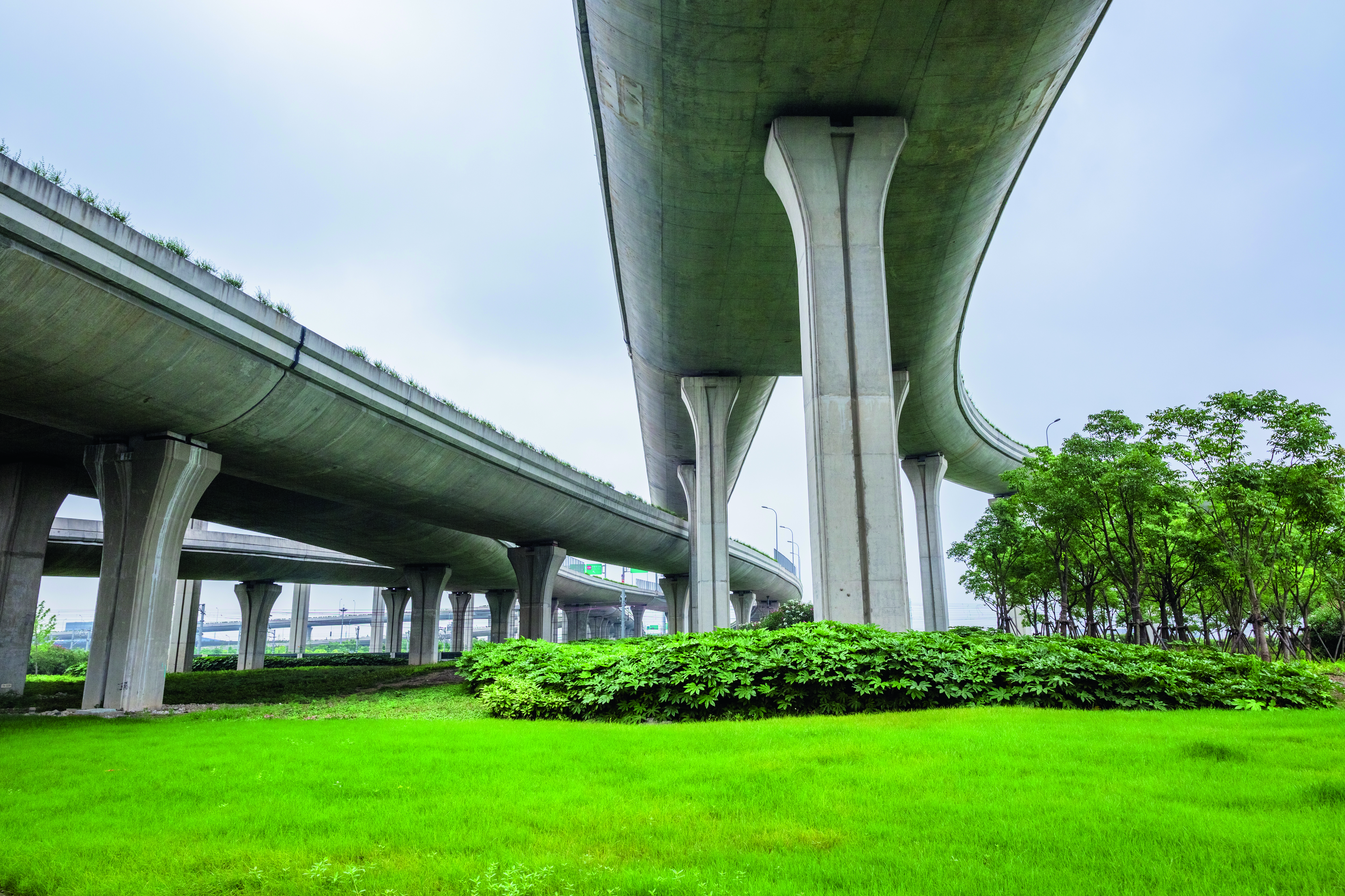 Intersecting lines of shanghai's overground / underground train system.
